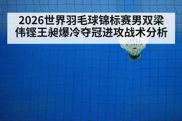 2026世界羽毛球锦标赛男双梁伟铿王昶爆冷夺冠进攻战术分析